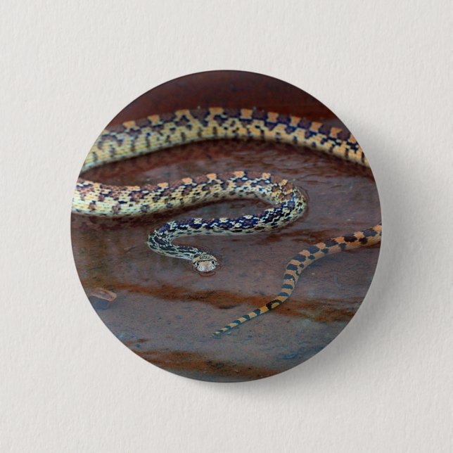 Bull Snake 2 Inch Round Button (Front)