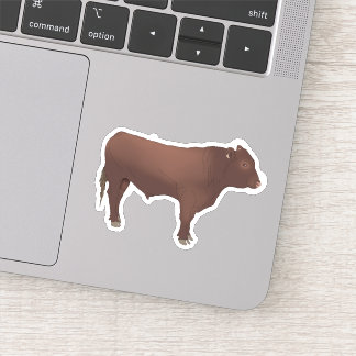 Bull sticker