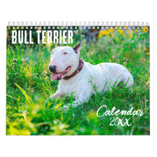 Bull Terrier calendar 2026