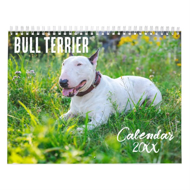 Bull Terrier calendrier 2026 (Protection)