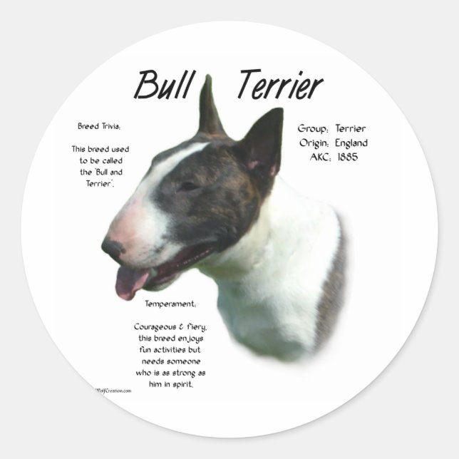 Bull Terrier (coloured) History Design Classic Round Sticker (Front)