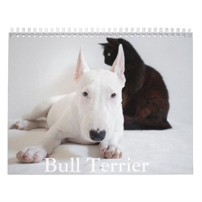 Bull Terrier Dog Calendar (Cover)