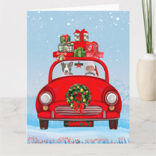 Bull Terrier Dog In Car With Santa Claus Card