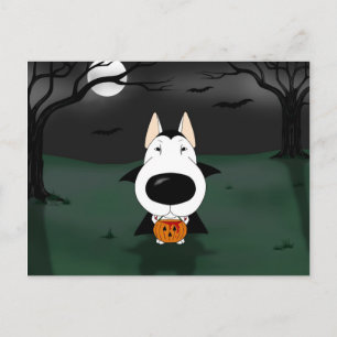 Bull Terrier Halloween Vampire Postcard