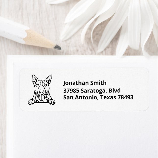 BULL TERRIER | Head Image on Return Address (Insitu)