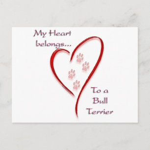 Bull Terrier Heart Belongs Postcard