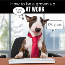Bull Terrier How to Be a Grown Up T-Shirt