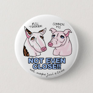 Bull Terrier NOT A Pig 2 Inch Round Button