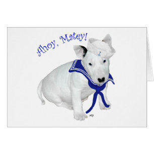 Bull Terrier Puppy