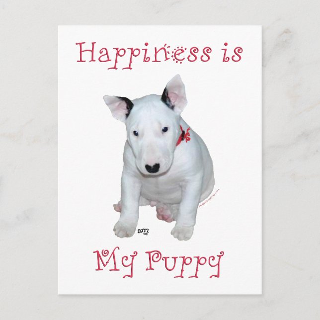 Bull Terrier Puppy Postcard (Front)