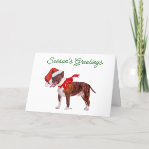 Bull Terrier Santa Holiday Card