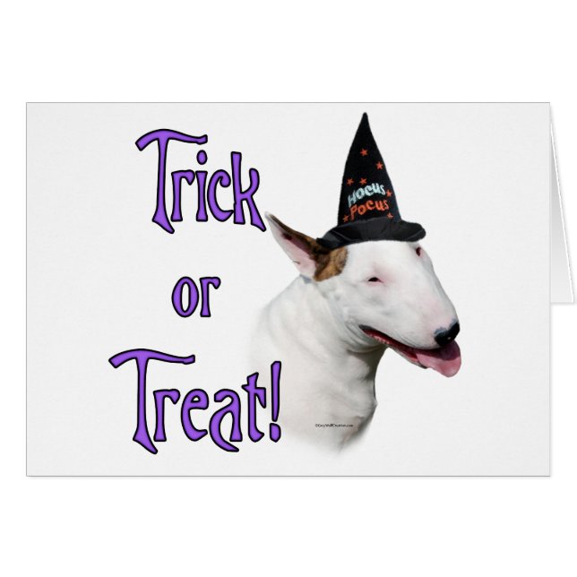 Bull Terrier Trick (Front Horizontal)