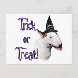 Bull Terrier Trick Postcard