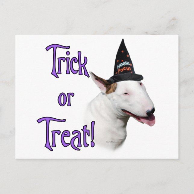Bull Terrier Trick Postcard (Front)