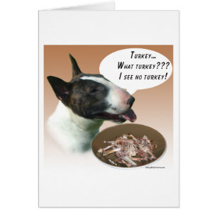 Bull Terrier Turkey