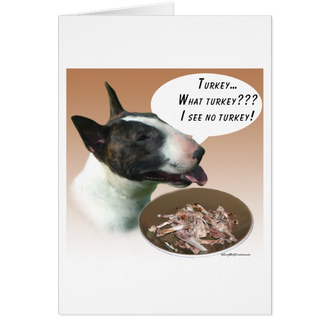 Bull Terrier Turquie (Devant)