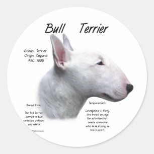 Bull Terrier (wht) History Design Classic Round Sticker