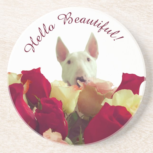 Bull terrier with roses greeting - Hello Beautiful Coaster (Front)