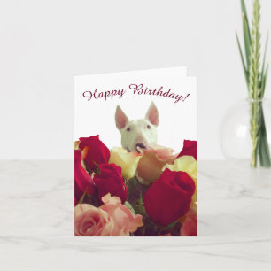 Bull terrier with roses - Happy Birthday! Note Card