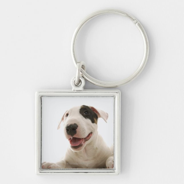 Bull Terriers Keychain (Front)