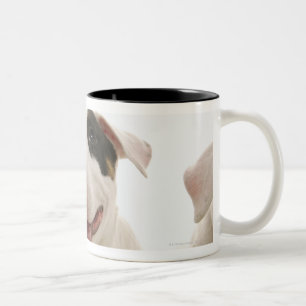 Bull Terriers Two-Tone Coffee Mug