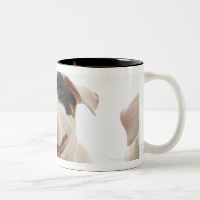 Bull Terriers Two-Tone Coffee Mug (Right)