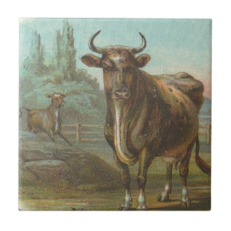 Bull Tile