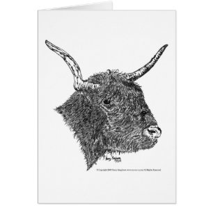 Bull with Horns Pen & Ink Drawing
