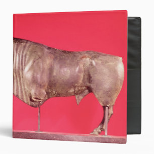 Bull with three horns, from Avrigney Binder