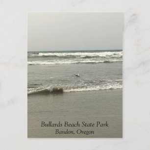 Bullards Beach State Park, Bandon, Oregon Postcard