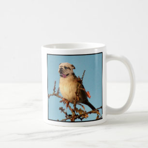 Bullbird mug