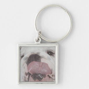 Bulldog 2 keychain