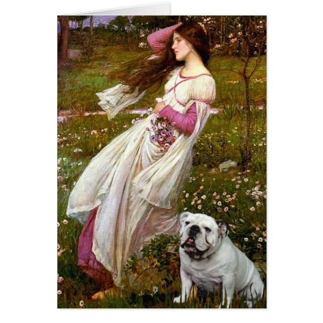 Bulldog 9 anglais - Fleurs à vent (Devant)