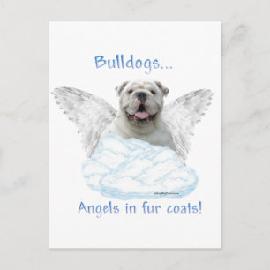Bulldog Angel Postcard