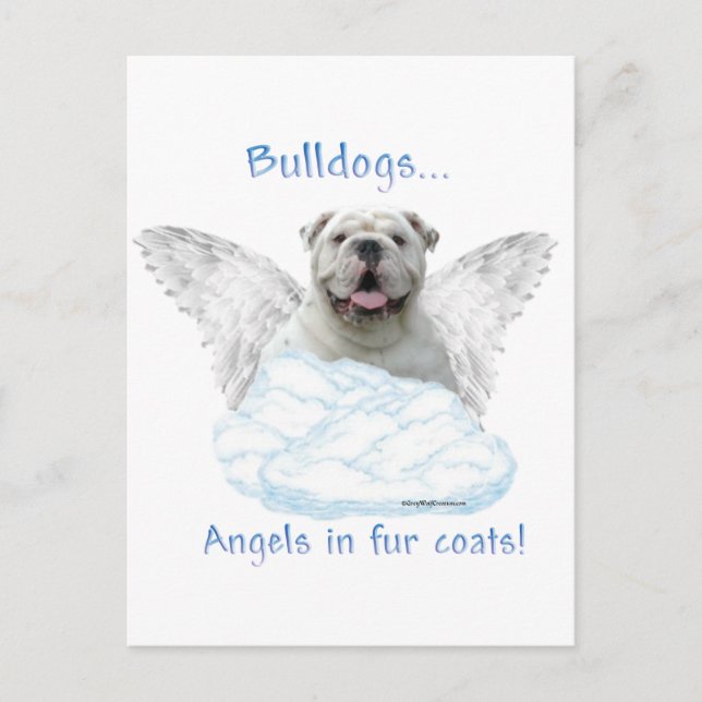 Bulldog Angel Postcard (Front)