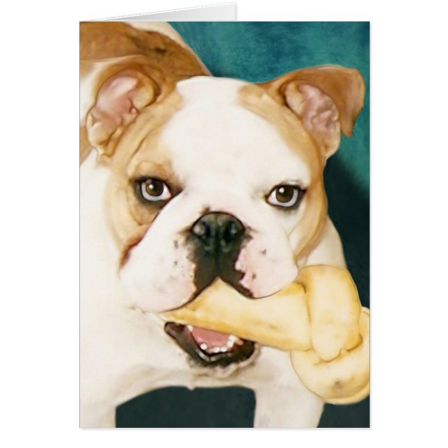 Bulldog anglais "Adagio" (Devant)