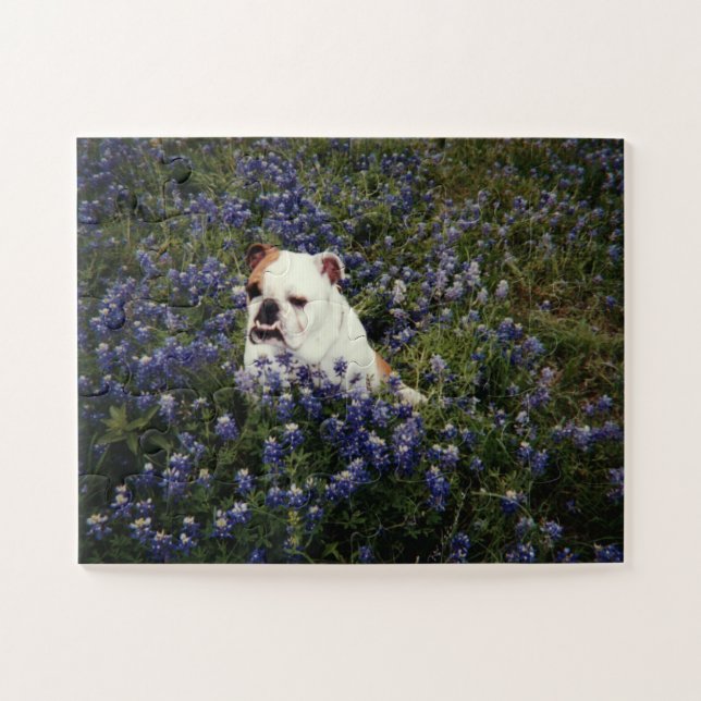 Bulldog anglais au Texas Bluebonnets Puzzle (Horizontal)