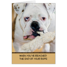 Bulldog anglais avec oreilles tachetées Corde dans