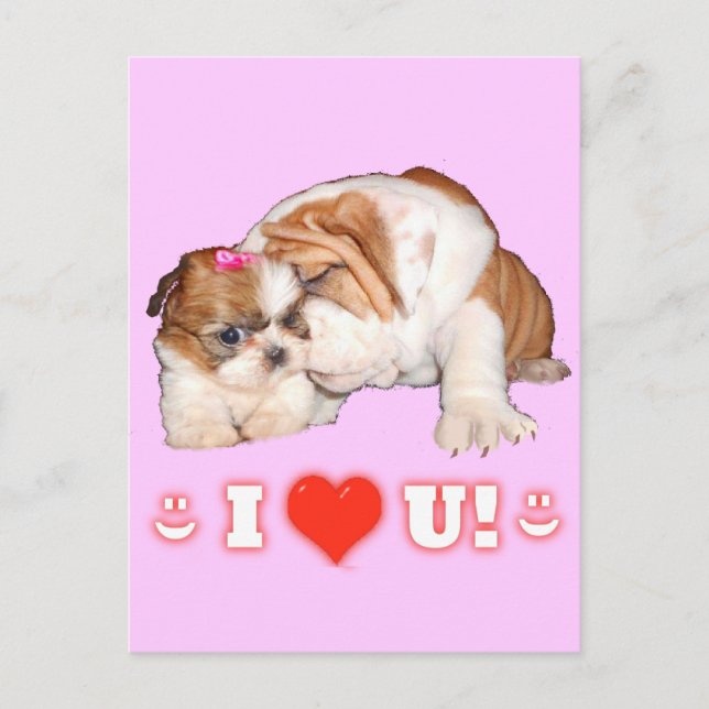 Bulldog anglais et Shih Tzu I LOVE YOU Cartes (Devant)