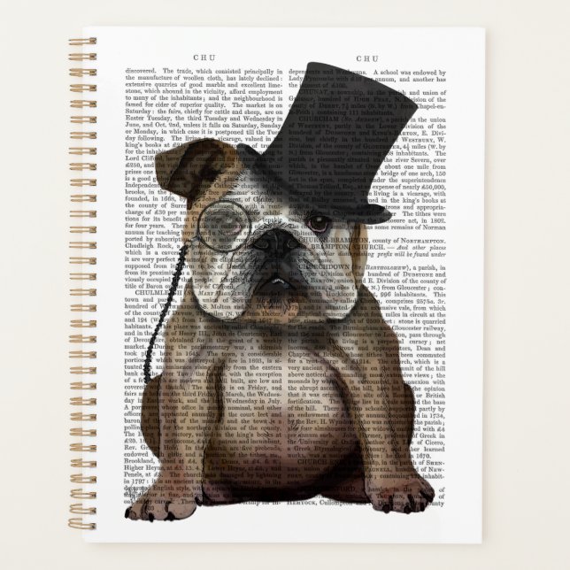 Bulldog anglais, Hound officiel et Casquette (Devant)