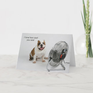 Bulldog Birthday card