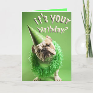bulldog birthday card