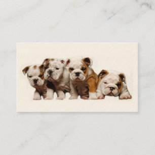 Bulldog Breeder Business Card