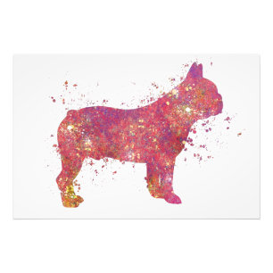 Bulldog Buledogue English Animal Dog Domestic Photo Print
