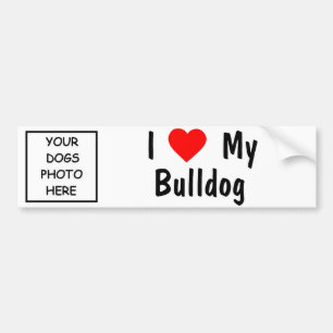 Bulldog Bumper Sticker
