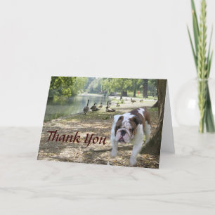 Bulldog Carte de remerciements