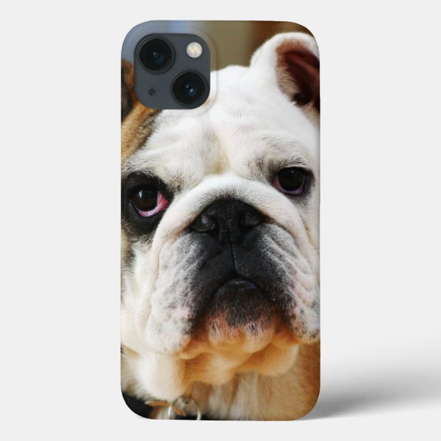 Bulldog Case-Mate iPhone Case (Back)