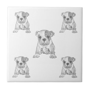 Bulldog Chequerboard Pencil Tile