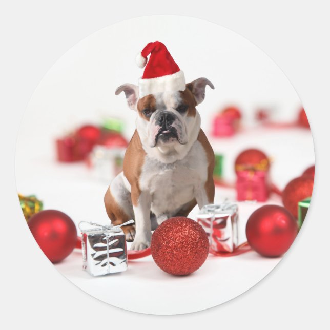 Bulldog Christmas Gift Box Ornaments Red Santa Hat Classic Round Sticker (Front)