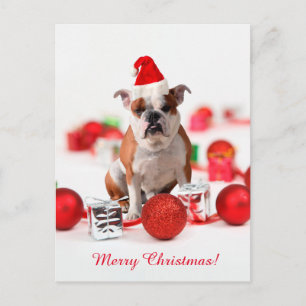 Bulldog Christmas Gift Box Ornaments Red Santa Hat Holiday Postcard